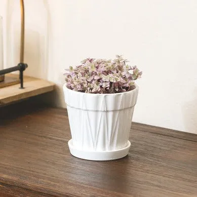 5.5 inch Decorative Ceramic Pot With Saucer