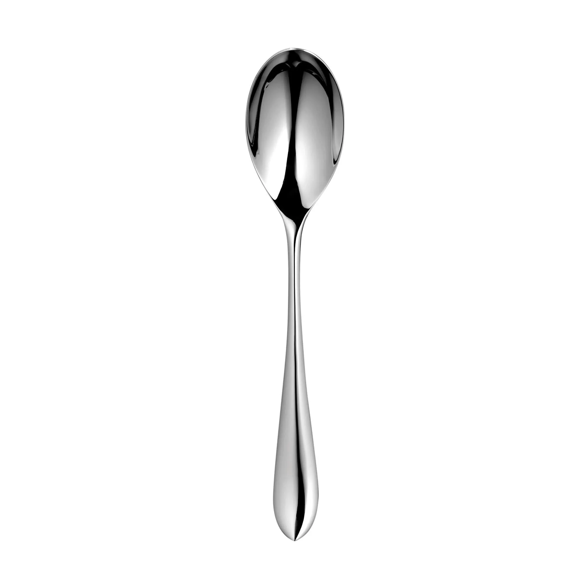 Norton Bright Dessert Spoon